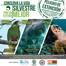 Conserva-la-Vida-Silvestre-por-un-Futuro-Mejor-Campaña-de-Concientización-para-la-Protección-de-Especies-en-Peligro-de-Extinción-y-Contra-el-Comercio-Ilegal-de-Animales